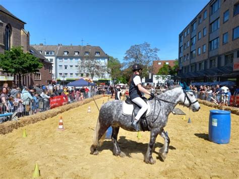 lotto am pferdemarkt bottrop